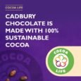 Chocolate-144-Count-Pack-of-1-04-765x765-1